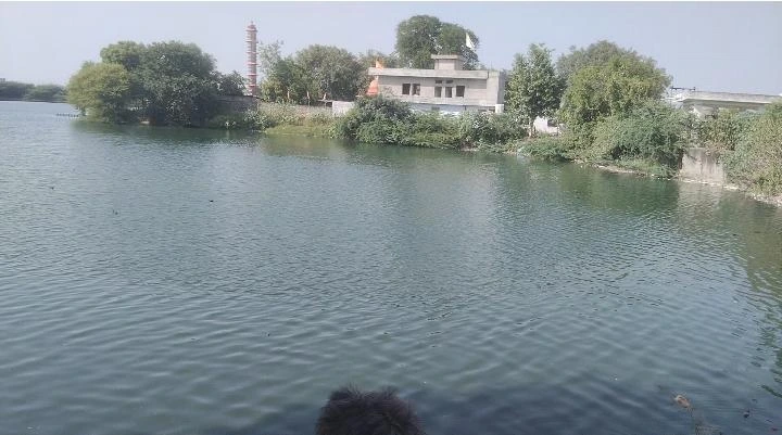 सांगानेर की फैक्ट्रियों का ज़हरीला पानी बना आफत: मुहाना के मोहन सागर तालाब में घुल रहा रसायन, बीमारियों की चपेट में ग्रामीण