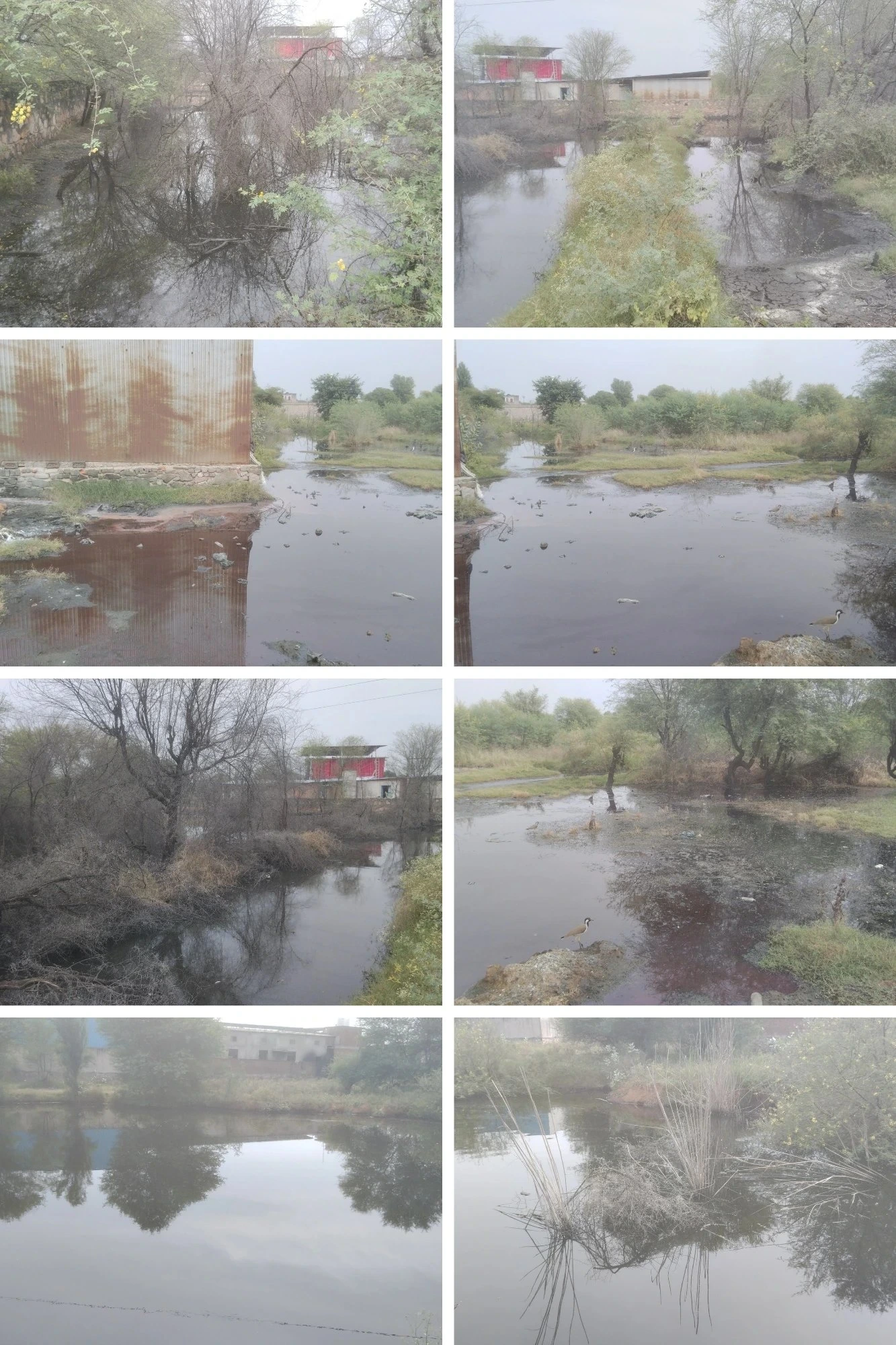 विशेष ग्राउंड रिपोर्ट —
सांगानेर में धरती मां की कोख में घोला जा रहा केमिकल का जहर, गंवार ब्राह्मणान बना खौफनाक तालाब और आंखें मूंदे बैठा प्रशासनिक तंत्र
