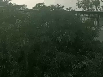 सीहोर में लगातार दूसरे दिन बारिश, फसलों को फायदा और गर्मी से निजात