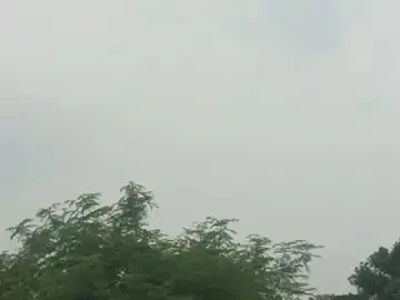 सीहोर में बारिश की स्थिति में सुधार हुआ