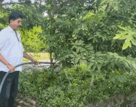 रिटायर्ड कर्मचारी ने सीहोर के मुक्तिधाम को उपवन में बदला, 5 हजार पौधों से सजाया