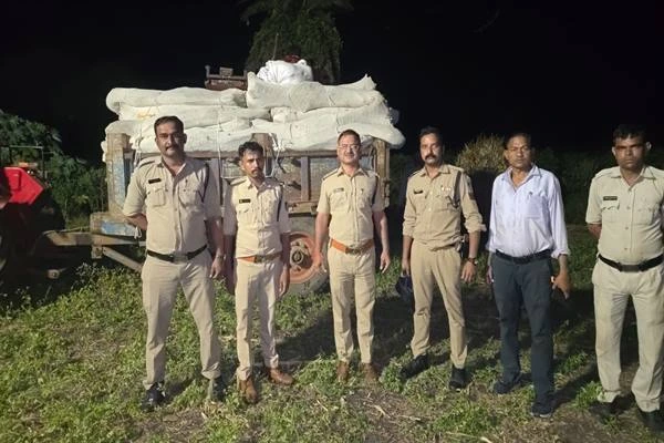 मध्य प्रदेश में गांजे की अवैध खेती का पर्दाफाश