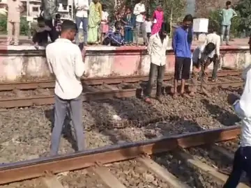 रेलवे ट्रैक पार करते समय अजगर की दर्दनाक मौत